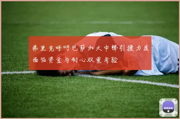 弗里克呼吁巴萨加大中锋引援力度面临资金与耐心双重考验